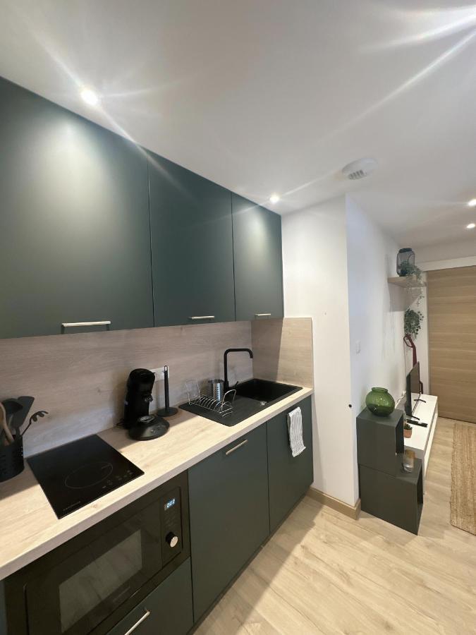 Sacre Appartement/Jardin/Parking/Wifi Rodez Exterior photo